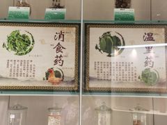 -广东中医药博物馆