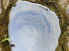 -广州白江湖森林公园