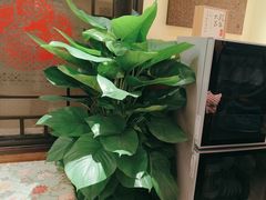 -西贝(六里桥旗舰店)