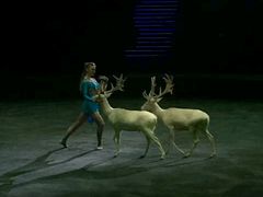 -珠海横琴长隆《卡卡虎奇遇记》