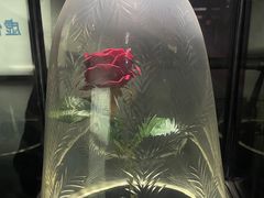 -天幕新彩云国际影城(激光巨幕店)