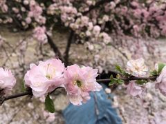 -河间府署