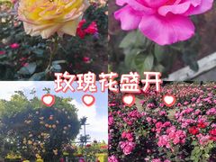 -郑州植物园