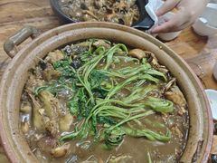 鲶鱼煲-海口滨海新村143号海南老字号炒菜店