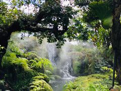 -Chom Cafe and Restaurant