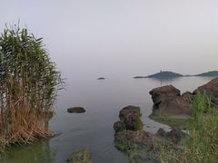 -上海市保健医疗中心(华东疗养院)