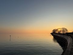 -贡湖湾湿地公园