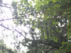 -同里国家湿地公园