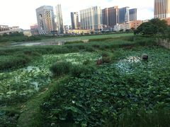 -龙环葡韵住宅式博物馆