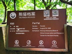 -都江堰中华大熊猫苑