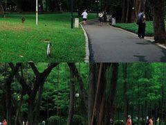 -晓港公园