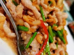海蜇炒肉丝-开海·红岛海鲜虾水饺(石老人店)