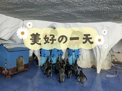 -太平洋海底世界