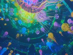 -海合安成都极地海洋公园