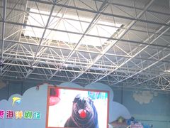 -蓬莱欧乐堡海洋极地世界