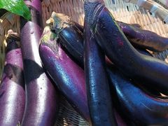 -老灶房-四川土菜(开元店)