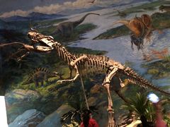 -自贡恐龙博物馆