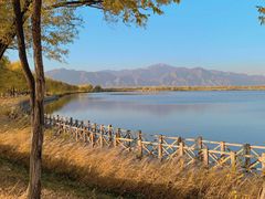 -野鸭湖国家湿地公园