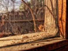 -斯多格书乡(北京大学畅春园店)