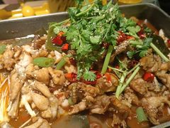 -蛙喔牛蛙(义乌新光汇店)