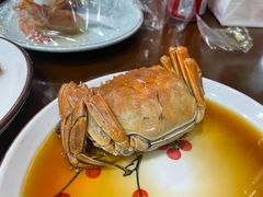 -红灯笼龙凤饭店(宁波老字号店)