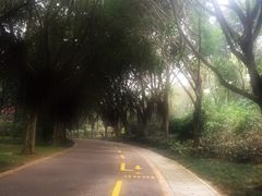 大沙河公园-大沙河公园