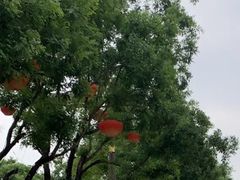-大雁塔北广场音乐喷泉