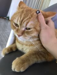 点击看大图 -辛格·潮沙龙
