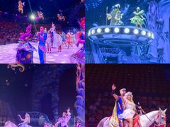 -海合安武汉极地海洋公园