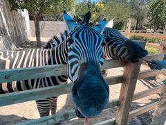 -水上乐园·欢乐世界