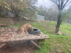 -西安秦岭野生动物园