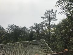 -井冈山风景名胜区-黄洋界