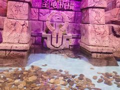 -波塞冬海底世界