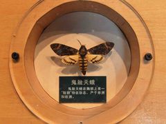 -陕西自然博物馆