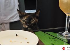 -EATALIA意塔利意式餐厅(鼓楼店)