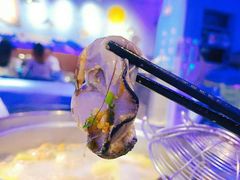 -千岛蚝高压锅生蚝·人参火锅(白云万达店)