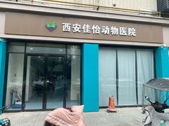 -佳怡动物医院·平价24小时·猫专科骨外科