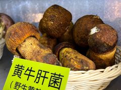 -菌海森林·非遗野生菌火锅(西山区滇池路摩根道店)