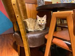 -H立方实景剧情密室(天河旗舰店)