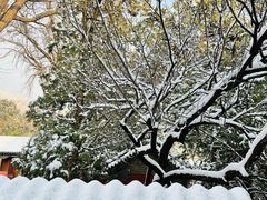 -泰山风景名胜区-普照寺