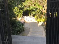 -金鸡山公园