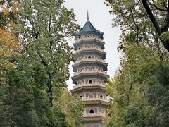 -灵谷景区