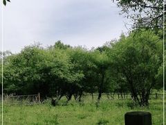 -大水川景区