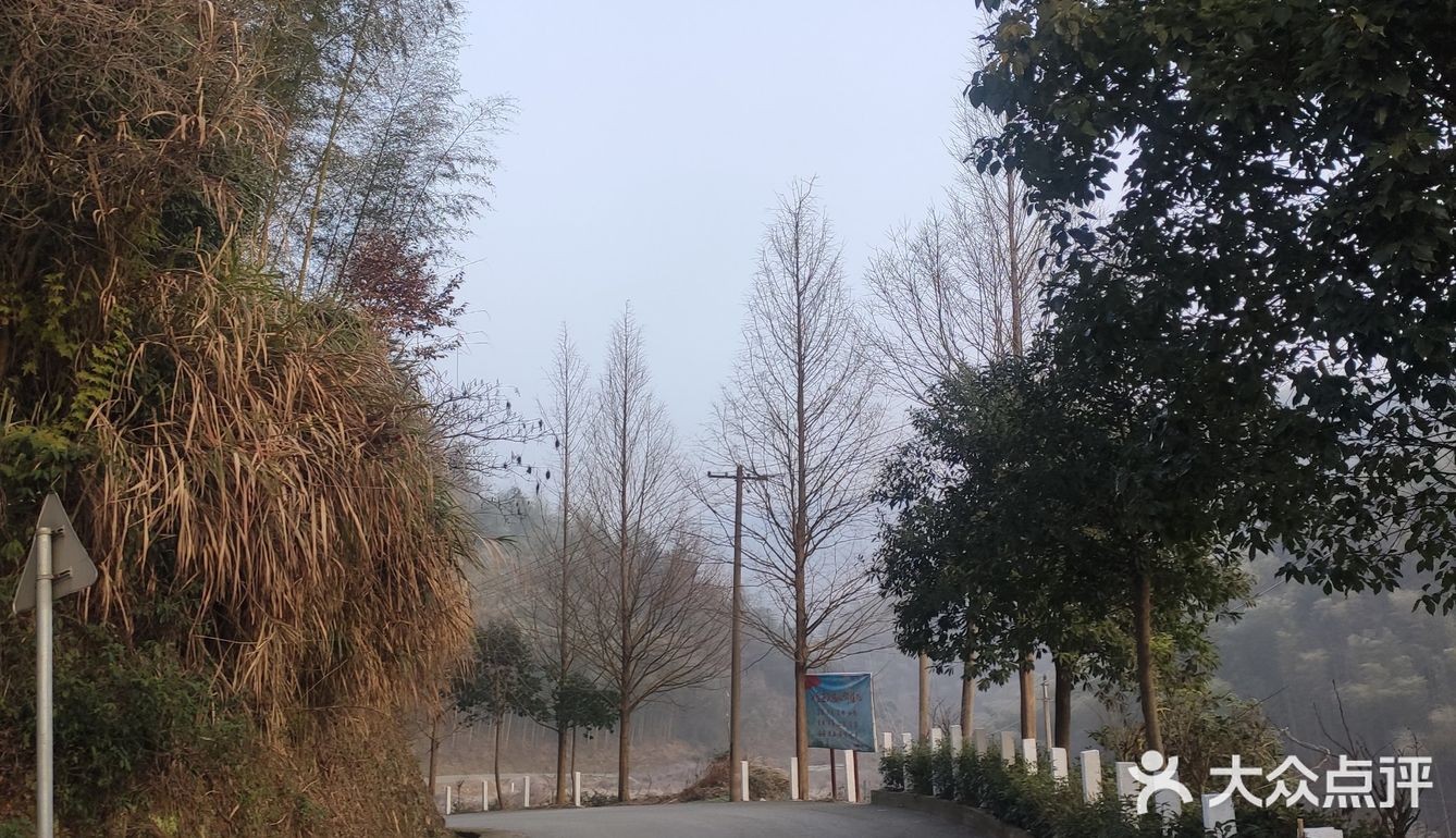 姑春天楼的内部刮起了一阵旋风，随即开始溶解这尊鼎