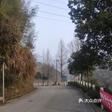 姑春天楼的内部刮起了一阵旋风，随即开始溶解这尊鼎