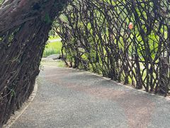 -莲花池公园