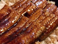 鳗鱼饭-小菊日本料理