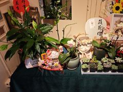 -EGO原创机械密室逃脱(朝阳大悦城2店)