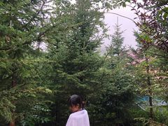 -汉拿山温泉度假酒店