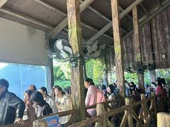 -杭州乐园